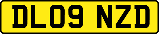 DL09NZD