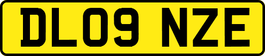DL09NZE