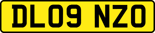 DL09NZO