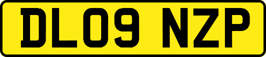 DL09NZP