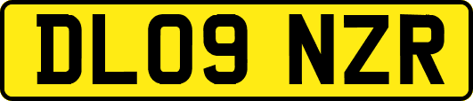 DL09NZR