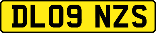 DL09NZS