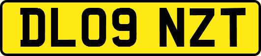 DL09NZT