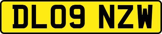 DL09NZW
