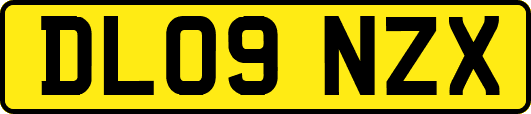 DL09NZX