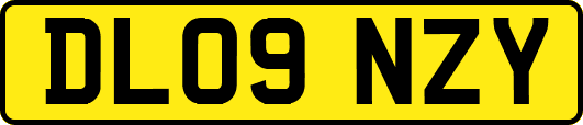 DL09NZY