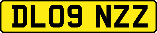 DL09NZZ