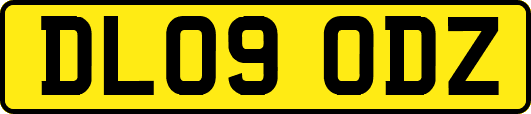 DL09ODZ