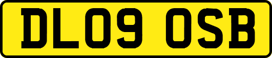 DL09OSB