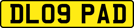 DL09PAD