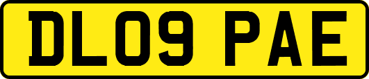 DL09PAE