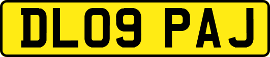 DL09PAJ