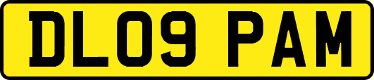 DL09PAM