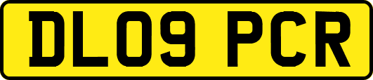 DL09PCR