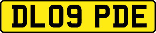DL09PDE