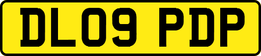DL09PDP