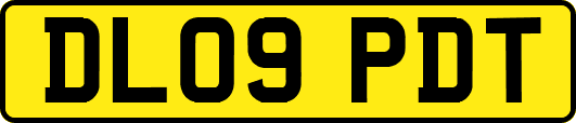 DL09PDT