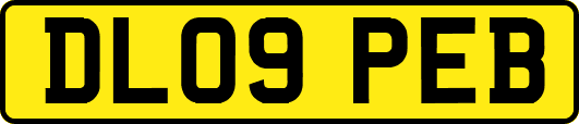 DL09PEB