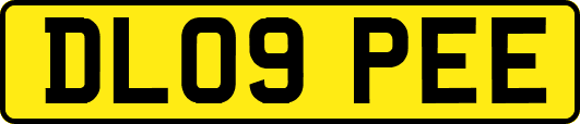 DL09PEE
