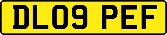 DL09PEF