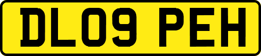 DL09PEH
