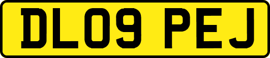 DL09PEJ