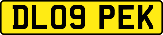 DL09PEK