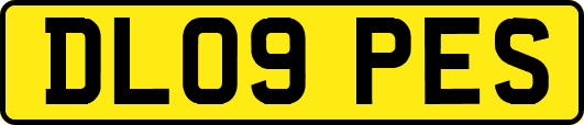 DL09PES