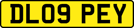 DL09PEY