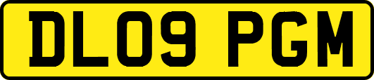 DL09PGM