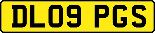 DL09PGS