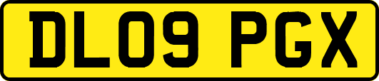 DL09PGX