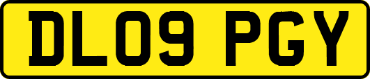 DL09PGY