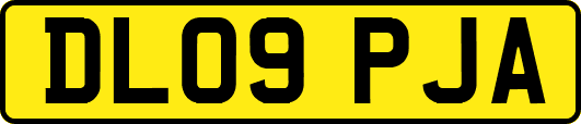 DL09PJA