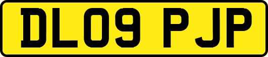 DL09PJP