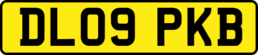 DL09PKB