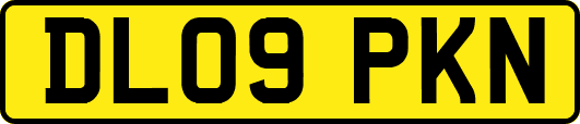 DL09PKN