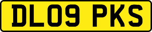 DL09PKS