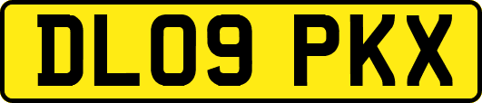 DL09PKX