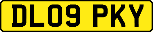 DL09PKY