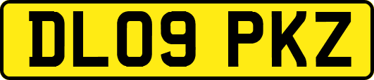 DL09PKZ