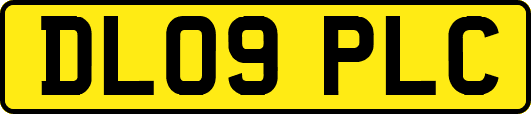 DL09PLC