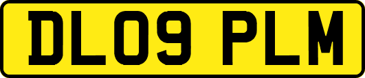 DL09PLM