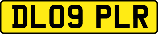 DL09PLR