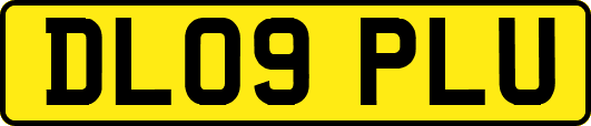 DL09PLU