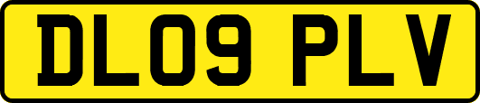 DL09PLV