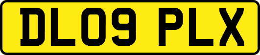 DL09PLX