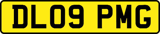 DL09PMG