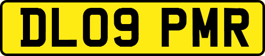 DL09PMR