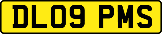 DL09PMS